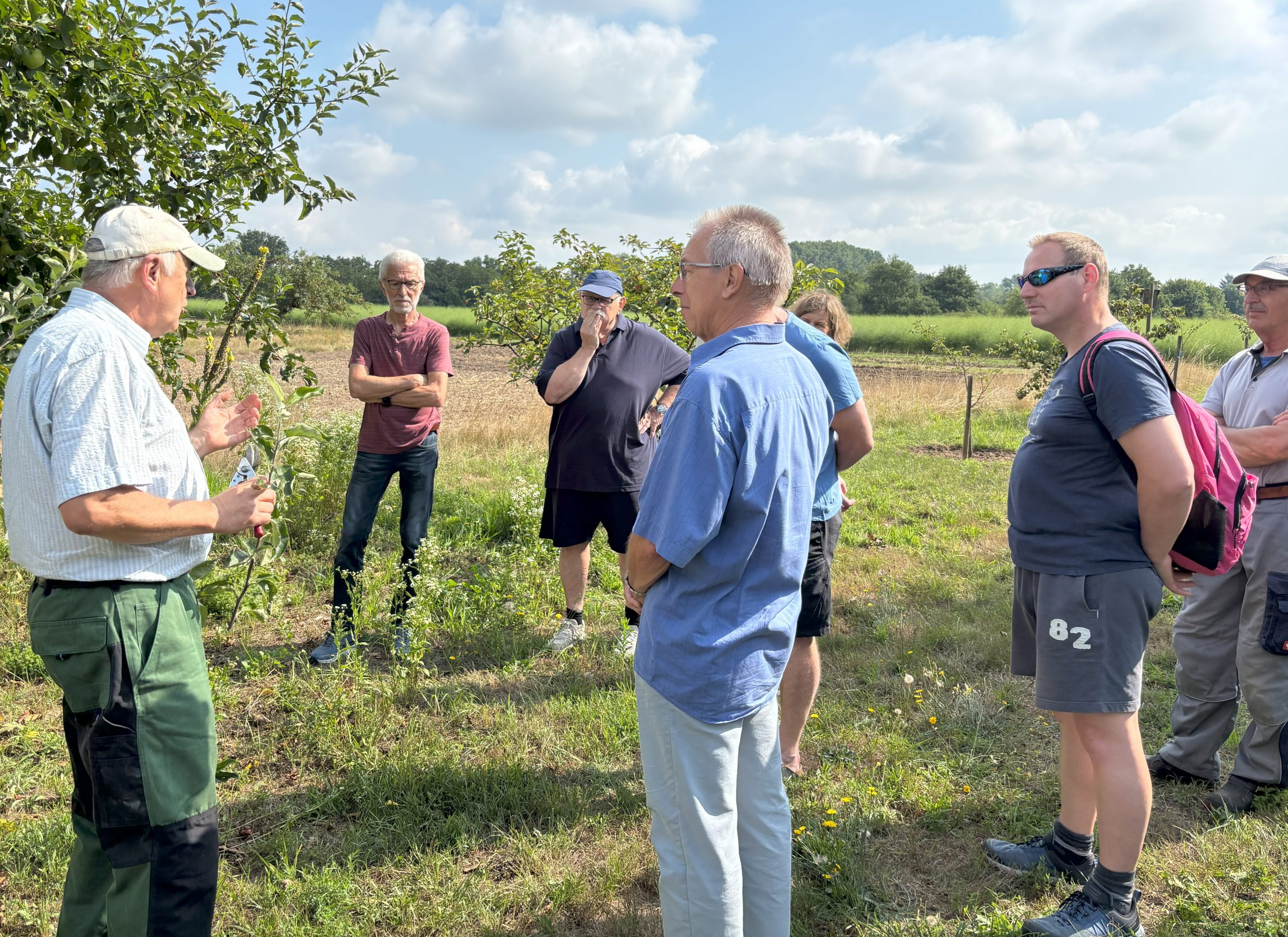 Viel Wissenswertes beim Sommerschnitt