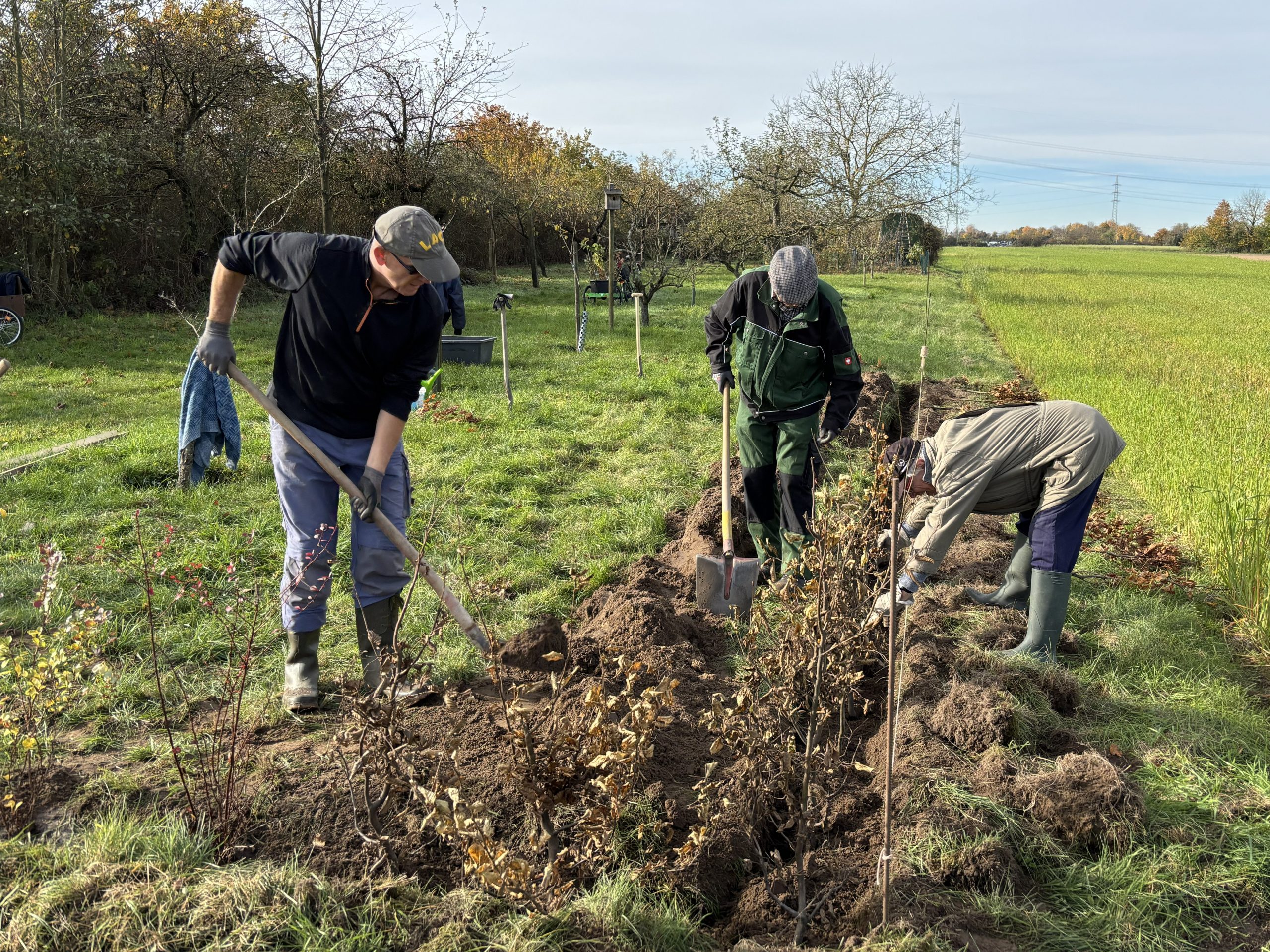 Der Anfang ist gemacht
